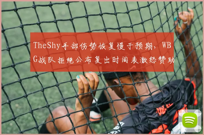 TheShy手部伤势恢复慢于预期，WBG战队拒绝公布复出时间表激怒赞助商